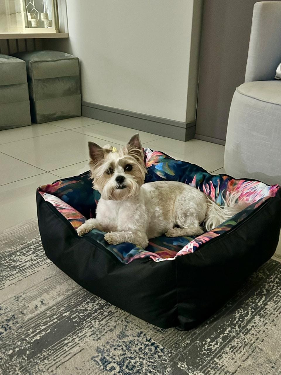 Dog lying on a black floral bed with raised sides